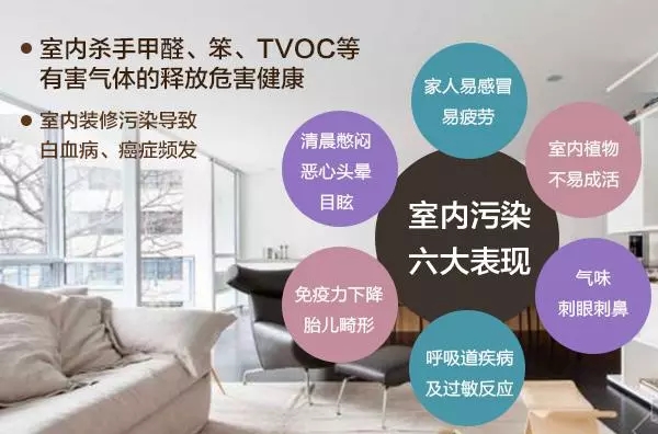 裝修污染早已伸向了學校？中學生無緣高考的背后是什么？